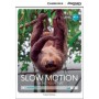 Книга для читання Cambridge Discovery Education Interactive Readers Level A1+ Slow Motion: Taking Your Time