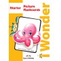Картки iWonder Starter Picture and Word Flashcards