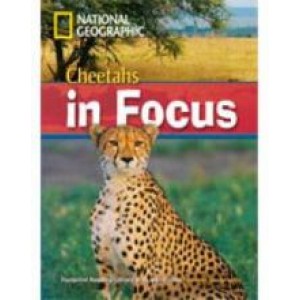 Книга для читання Cheetahs in Focus! (level B2 — 2200 headwords) Reader with Multi-ROM