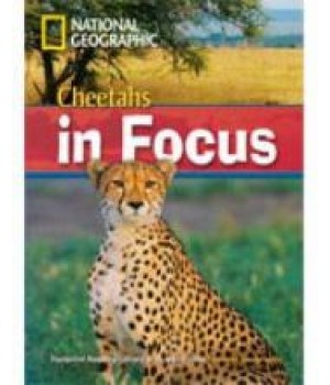 Книга для читання Cheetahs in Focus! (level B2 — 2200 headwords) Reader with Multi-ROM