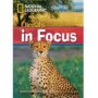 Книга для читання Cheetahs in Focus! (level B2 — 2200 headwords) Reader with Multi-ROM