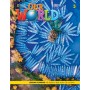 Книга для вчителя Our World 2nd Edition 5 Lesson Planner with Student's Book Audio CD and DVD