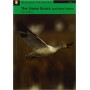 Книга для читання The Snow Goose and Other Stories with CD-ROM and audio recording Level 3
